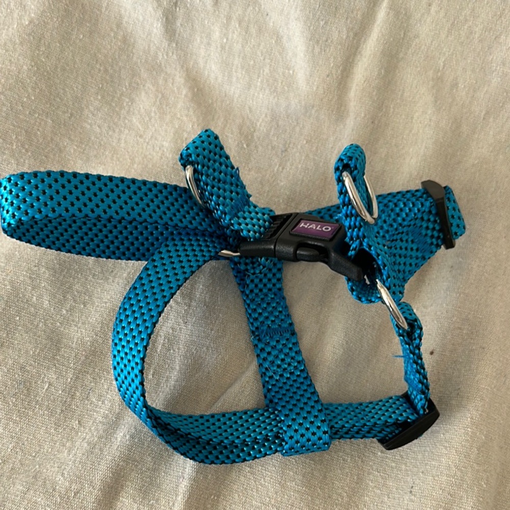 Halo Blue Medium Pet Harness